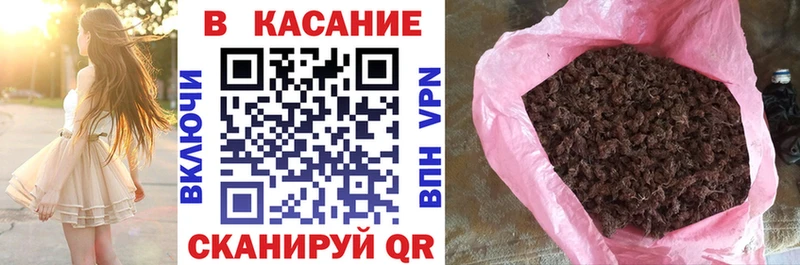Наркотические вещества Чадан АМФ Меф Гашиш Метадон А ПВП Бошки Шишки