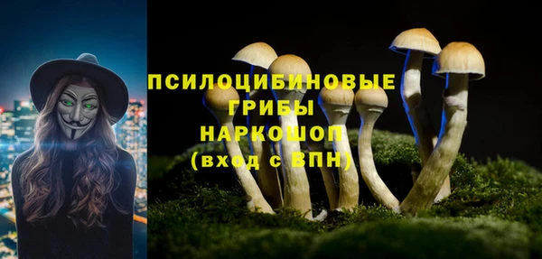 дживик Алзамай