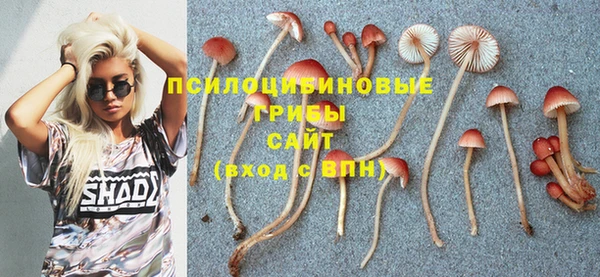 круглые Алексеевка