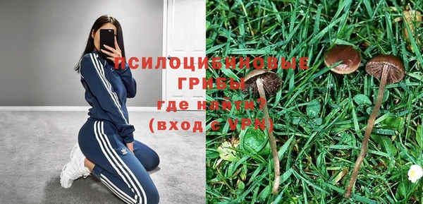 дживик Алзамай