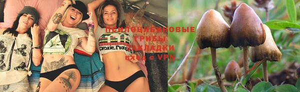 прущая мука Алексин